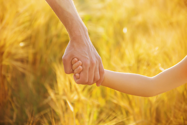 hand child father wheat field 73944 7116